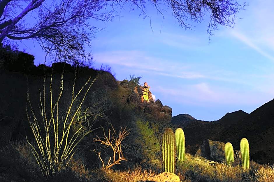 The Ritz-Carlton Dove Mountain