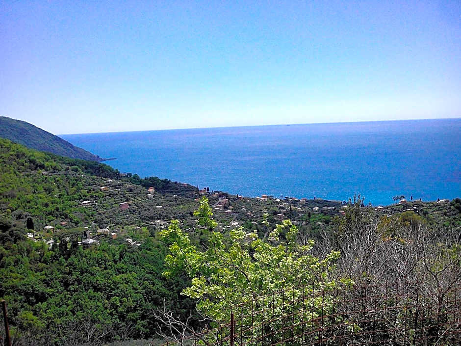 B&B I Glicini