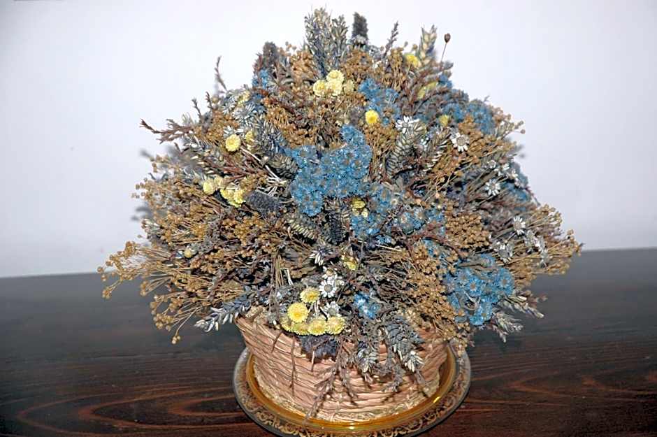 Il Giardino di Matilde