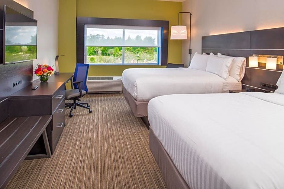 Holiday Inn Express & Suites Tampa North - Wesley Chapel