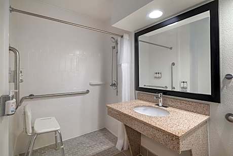 1 Queen Standard Communication Mobility Accessible