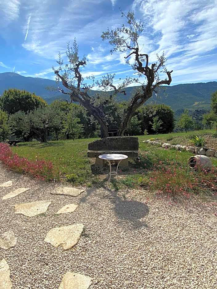 Chambre une fenêtre sur le Ventoux la Clue