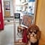 Lodge Villa Happo