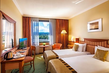 Superior Twin Room with Danube View (pet-friendly)