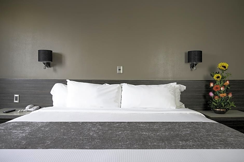 Hotel Brasilia