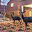 Bluegreen Vacations Blue Ridge Village, an Ascend Resort