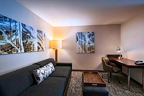 King Suite with Roll-In Shower and Trundle Sofa - Mobility Access/Hearing Accessible