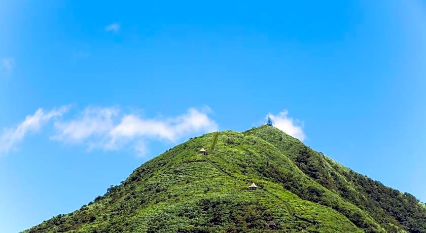 Jiufen The Ocean Theory