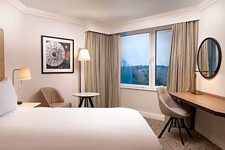 Two Beds Twin Hilton Deluxe Room