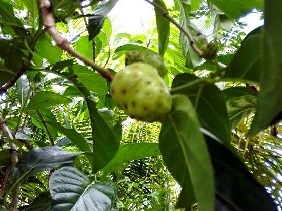 Hotel Casa Barcelona