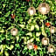 Distrikt Hotel New York City, Tapestry Collection by Hilton