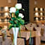 Hotel Marand