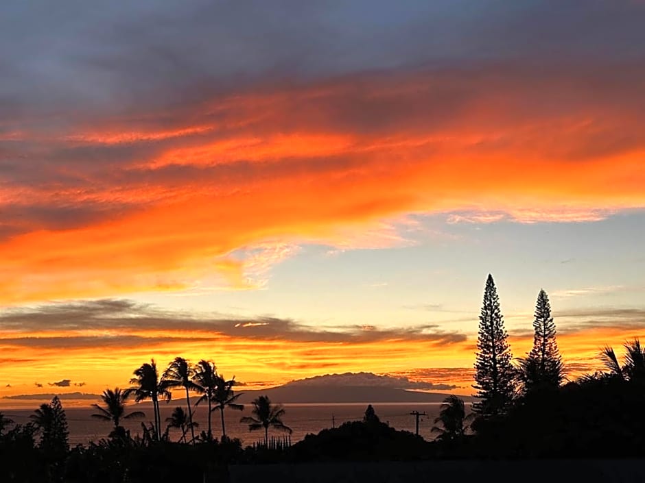 Updated 2bd 2ba Maui Vista Condo with Ocean View