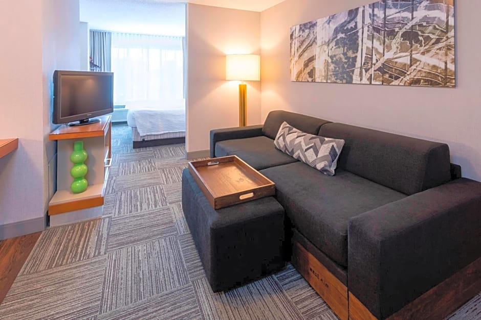 SpringHill Suites by Marriott Rochester Mayo Clinic Area/Saint Marys