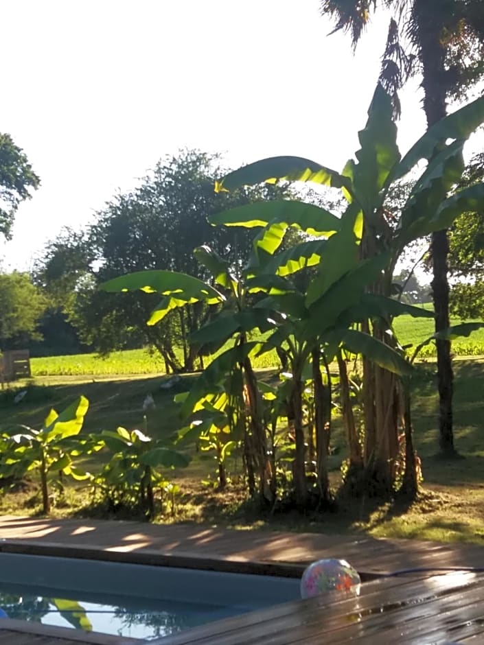 Chateau Saint Martin B&B