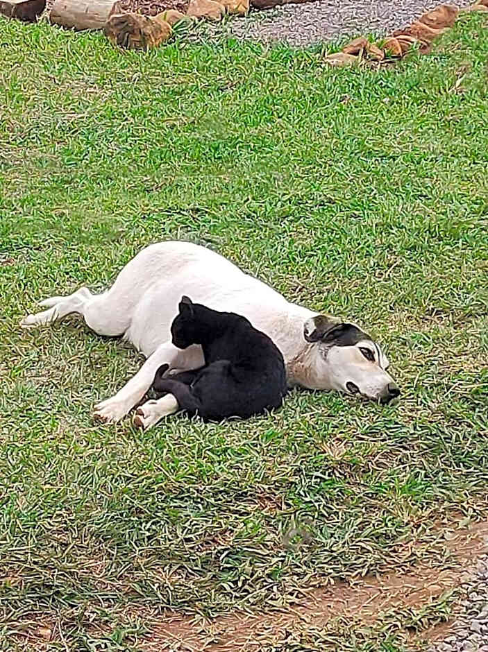 HOSPEDAGEM LA NO SITIO