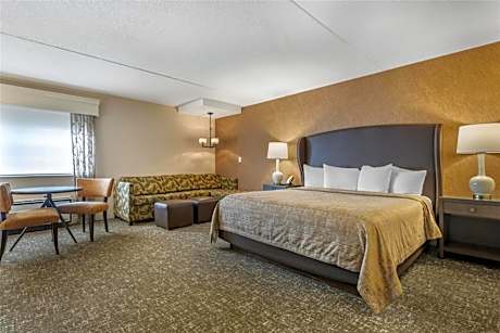 Large King Room with Sofa Bed - Non-smoking