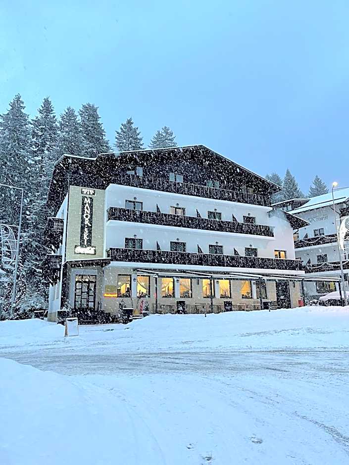 Manor Ski Hotel