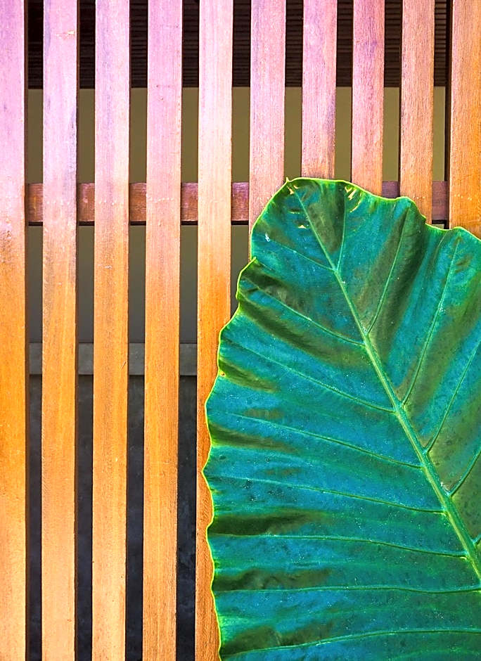 Suku Lifestyle Hotel & Villas