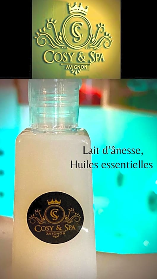 COSY & SPA Appartement Luxe JACUZZI SAUNA Suite Cristal