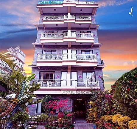 Hotel Orchid