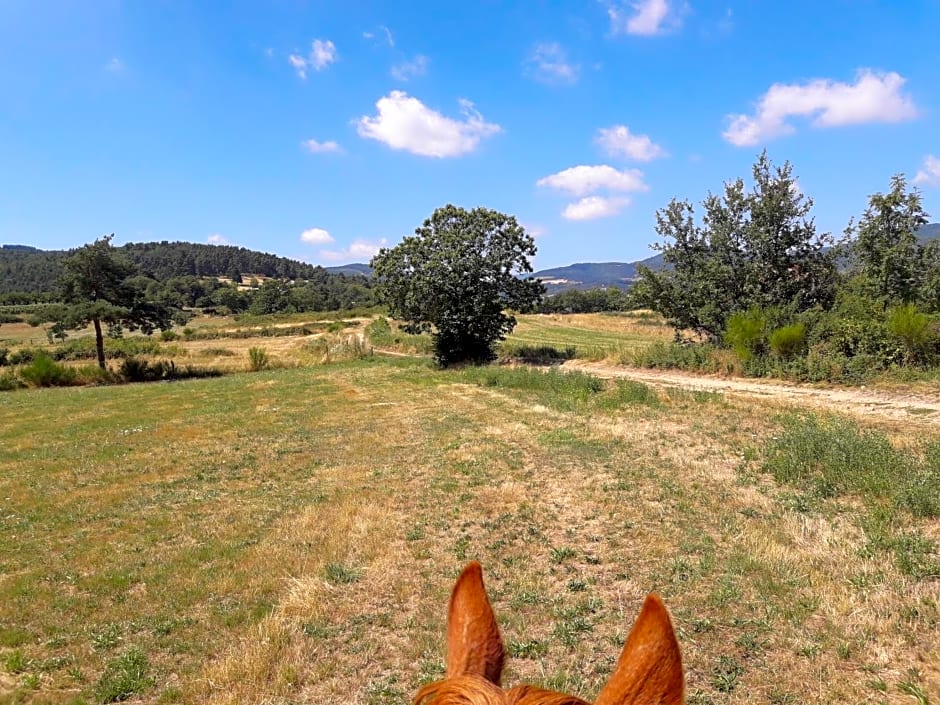 Ferme de la Combe - The Goldy's Farm