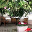 B&B La Bougainvillea