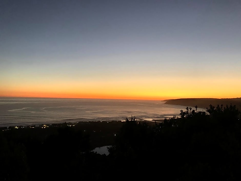 Forest Hill Wilderness