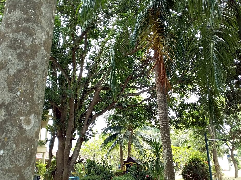 Jinta Hotel Nathon Beach