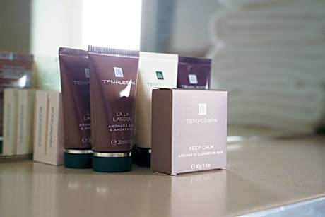 Family Room with ensuite Bathroom