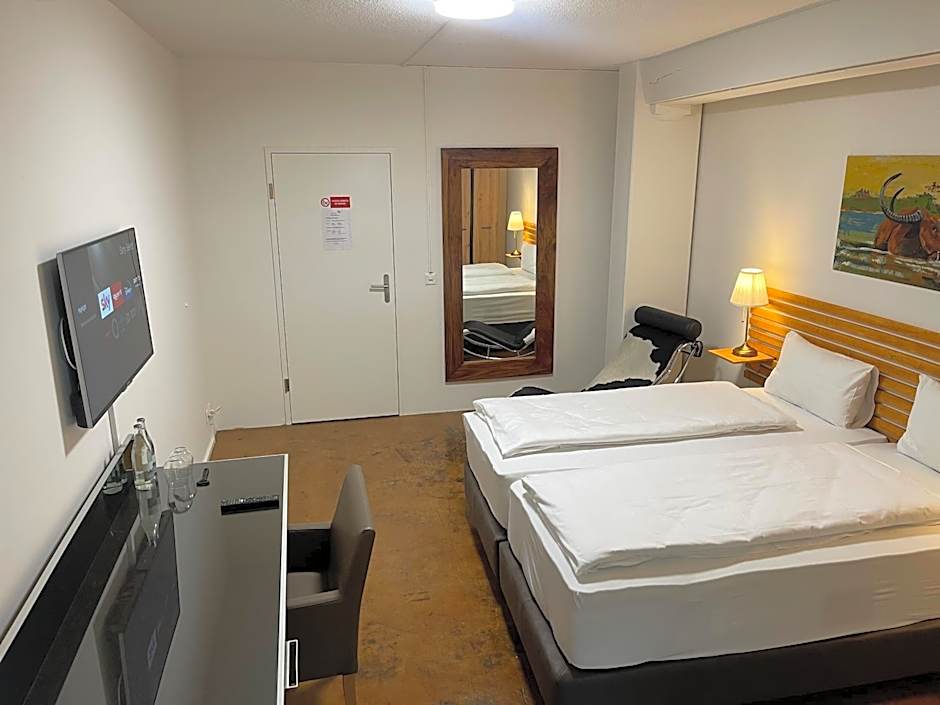 Hotel Swiss Bellevue Aathal