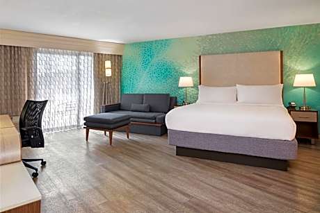 Studio Suite, Larger Guest room, 1 King, Sofa bed
