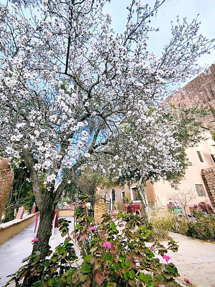 Riad Kasbah des Roches