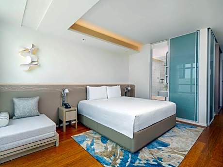 Premier Deluxe Double Room with City View