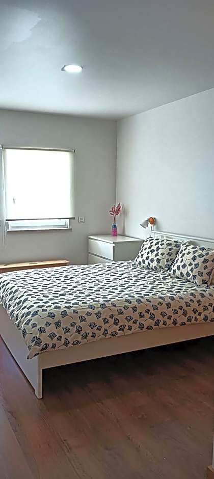 Zambujeiraseahouse - 100m da praia