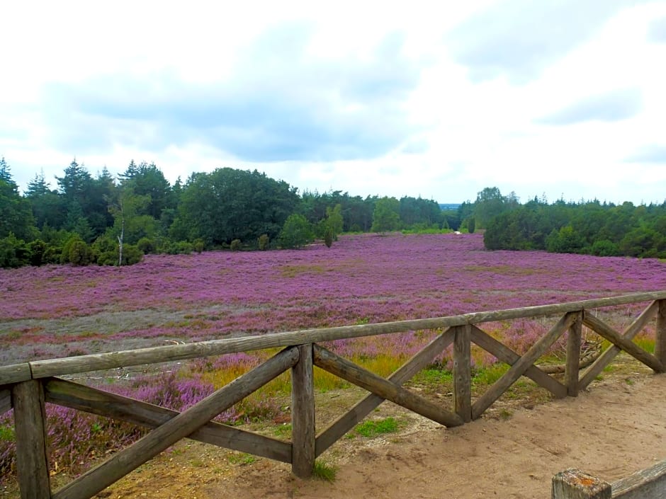 De Hammerhoeve