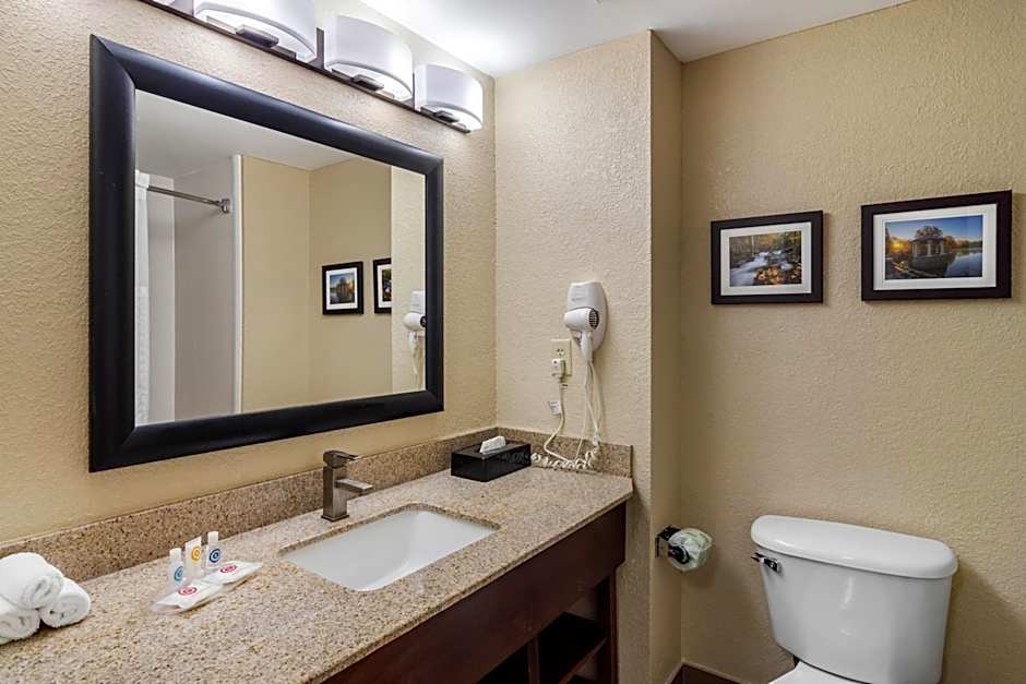 Comfort Suites Woodstock - Atlanta North