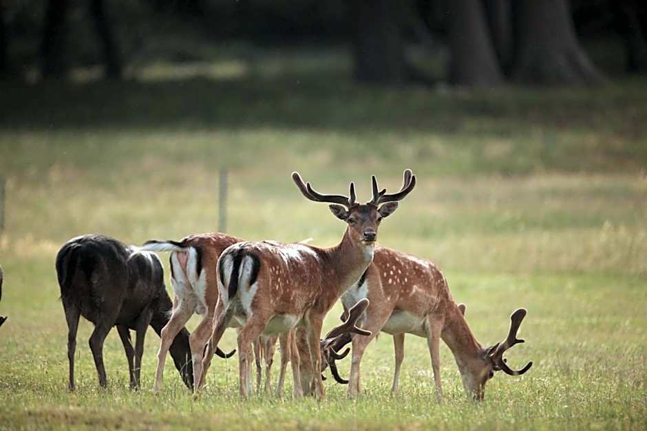 Brijuni Hotel Neptun