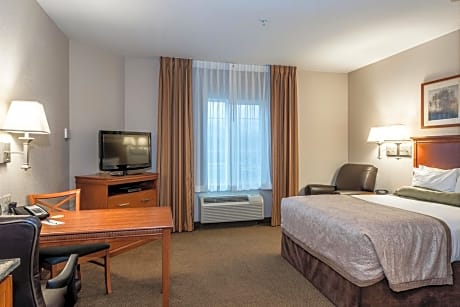 Queen Studio Suite