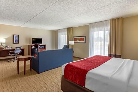 1 King Bed, Suite, Nonsmoking, Accessible