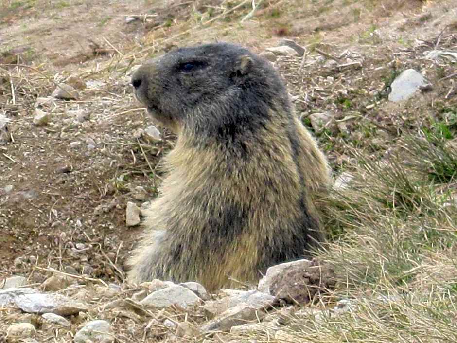 Berghotel Arthurhaus