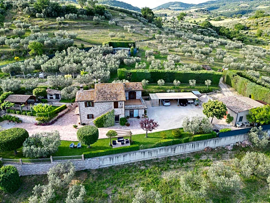 La Casa Tra Gli Ulivi