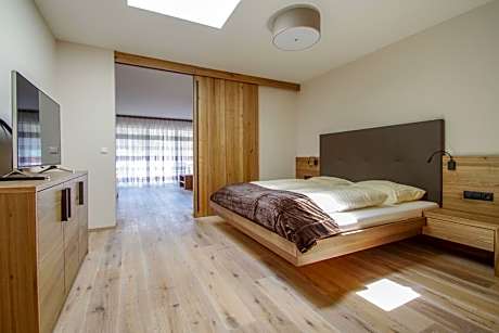 Large One-Bedroom Apartment