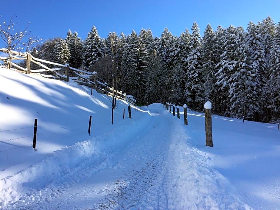Bauernhof Haflingertränke