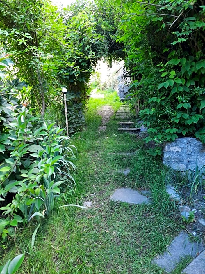 Alla Curva di Elia Manzoni