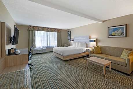 Accessible - Suite 1 King Bed, Mobility Accessible, Roll In Shower, Sofabed For One Person, Work Des