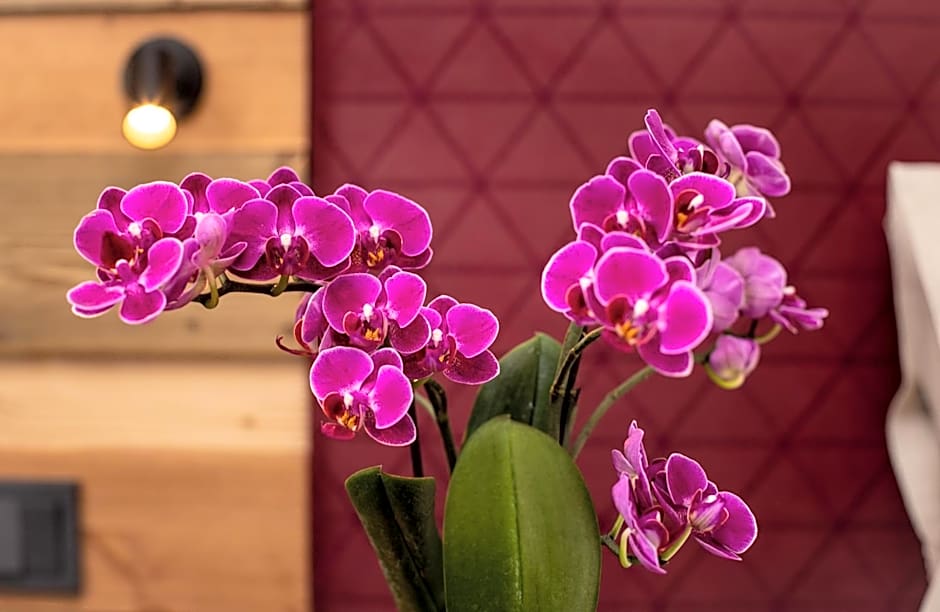 Arcus Hotel München Messe