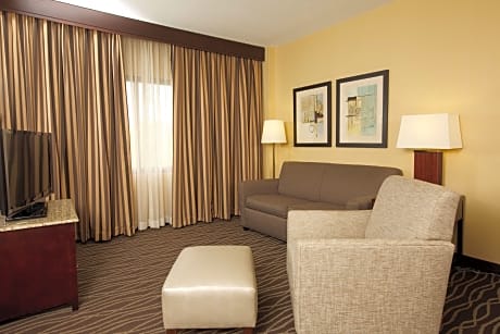 One-Bedroom King Suite with Sofa Bed - Non-Smoking