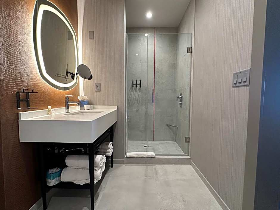 Hotel Indigo Baton Rouge Downtown By IHG
