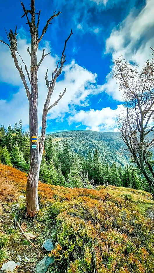 Chata pod Mravenečníkem